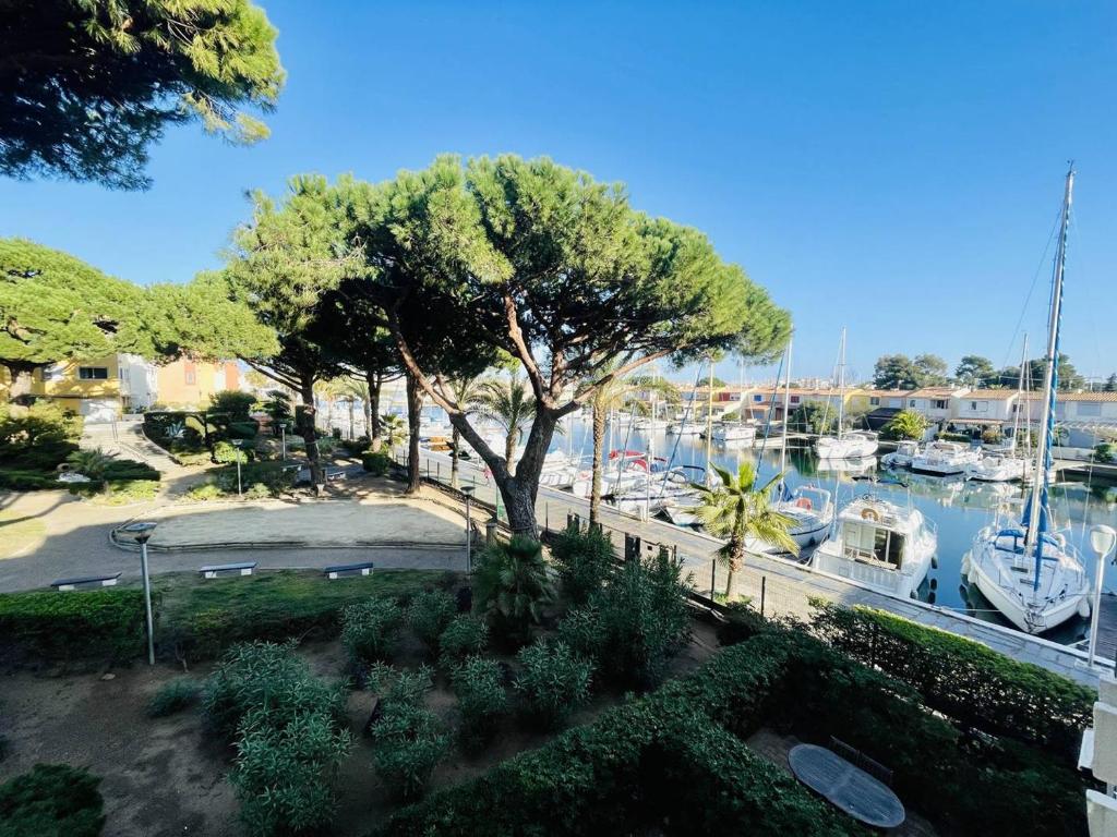 une vue d'une marina avec des bateaux dans l'eau dans l'établissement Studio centre port avec piscine et parking - FR-1-723-146, au Cap d'Agde