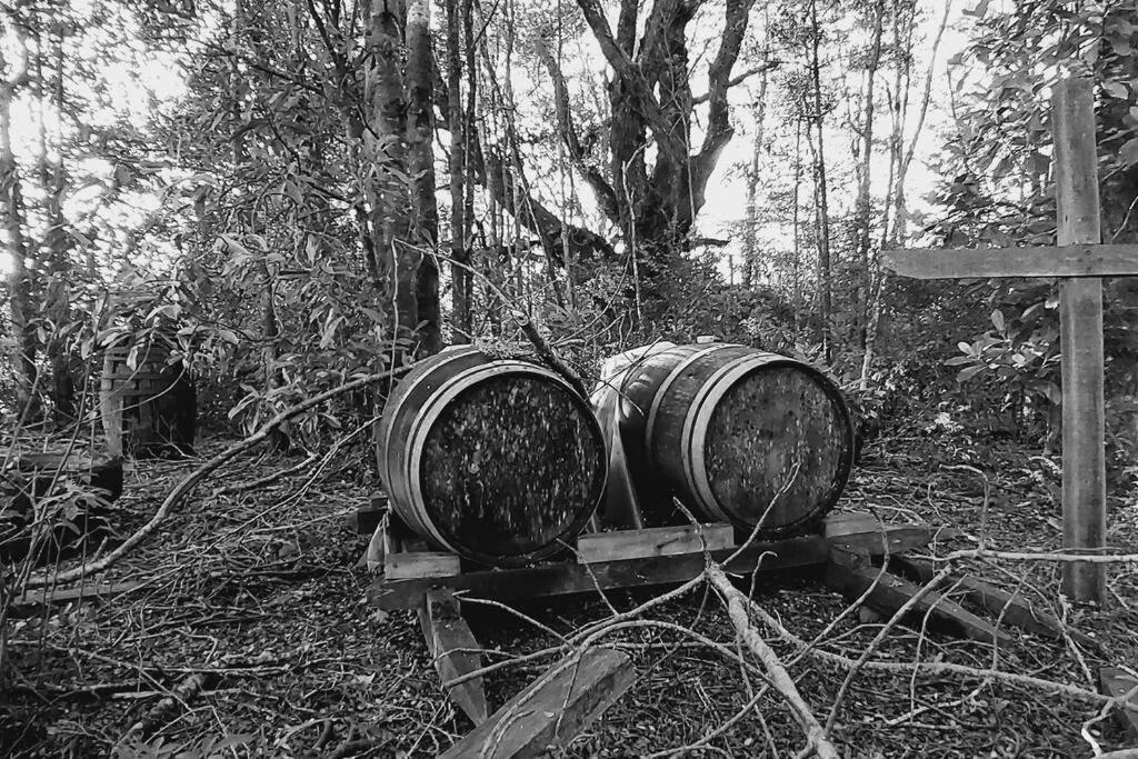 Fotografie z fotogalerie ubytování Cabaña Zorro Chilote v destinaci Dalcahue