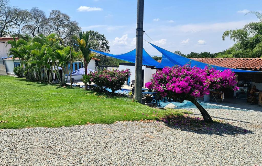 El CaimoにあるHospedaje Campestre El Deseoのギャラリーの写真