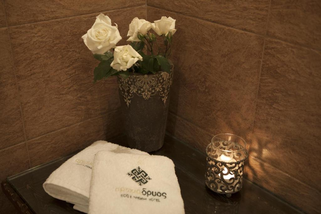 AROMA DRYOS SPA & ECO Hotel - 11