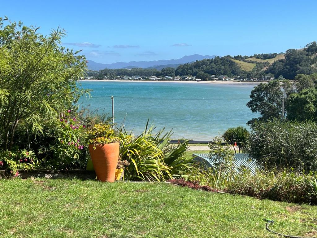 a view of the ocean from a yard with plants at Brophys Beach Studio in Whitianga