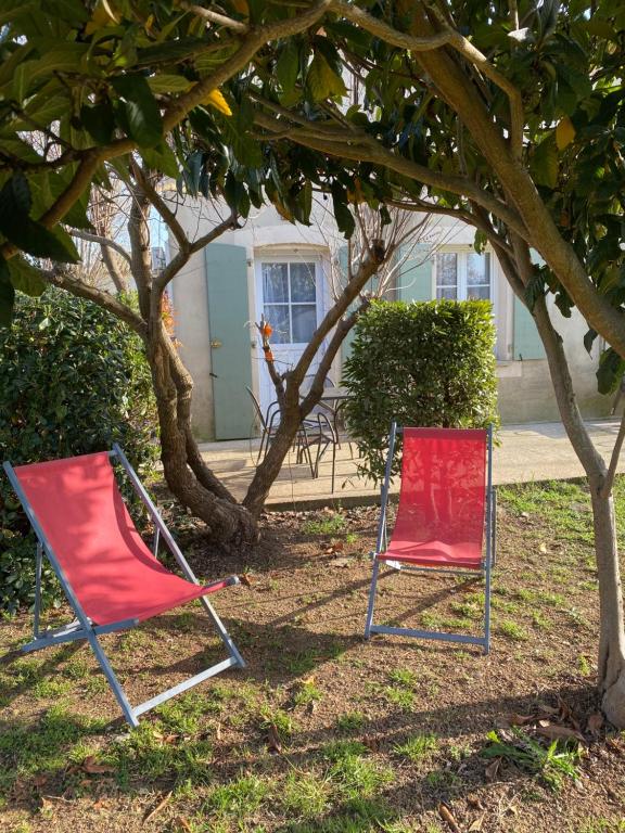 deux chaises assises dans l'herbe sous un arbre dans l'établissement Chez Christelle et Norbert, à Gallargues-le-Montueux