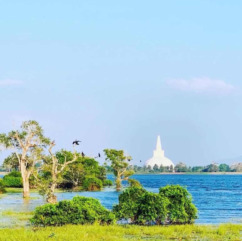 a body of water with trees and a white building in the background w obiekcie Thissawewa Guest w mieście Anuradhapura