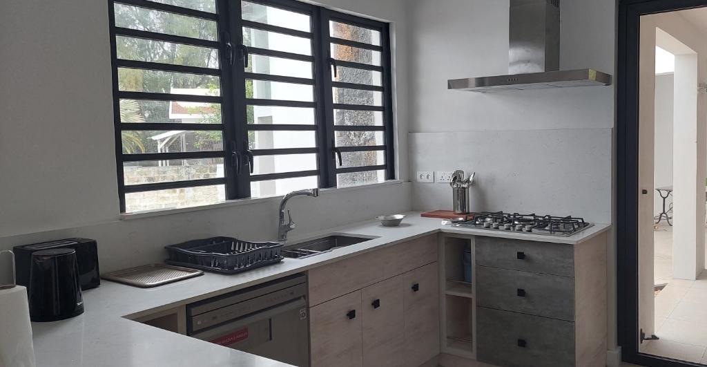 Kuchyň nebo kuchyňský kout v ubytování Canari Waterfront Villas