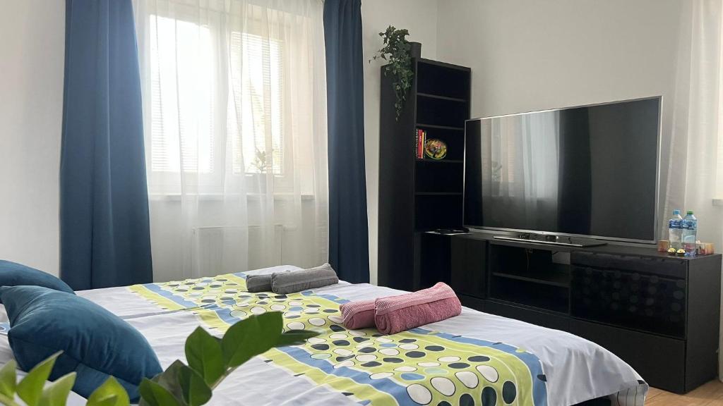 a bedroom with a flat screen tv and a bed at Apartmán s kuchyní v soukromí u Arény in Vítkovice