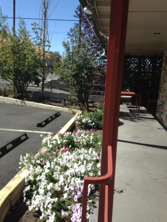 a red chair sitting in a bed of flowers at Rugged Country Lodge in Pendleton