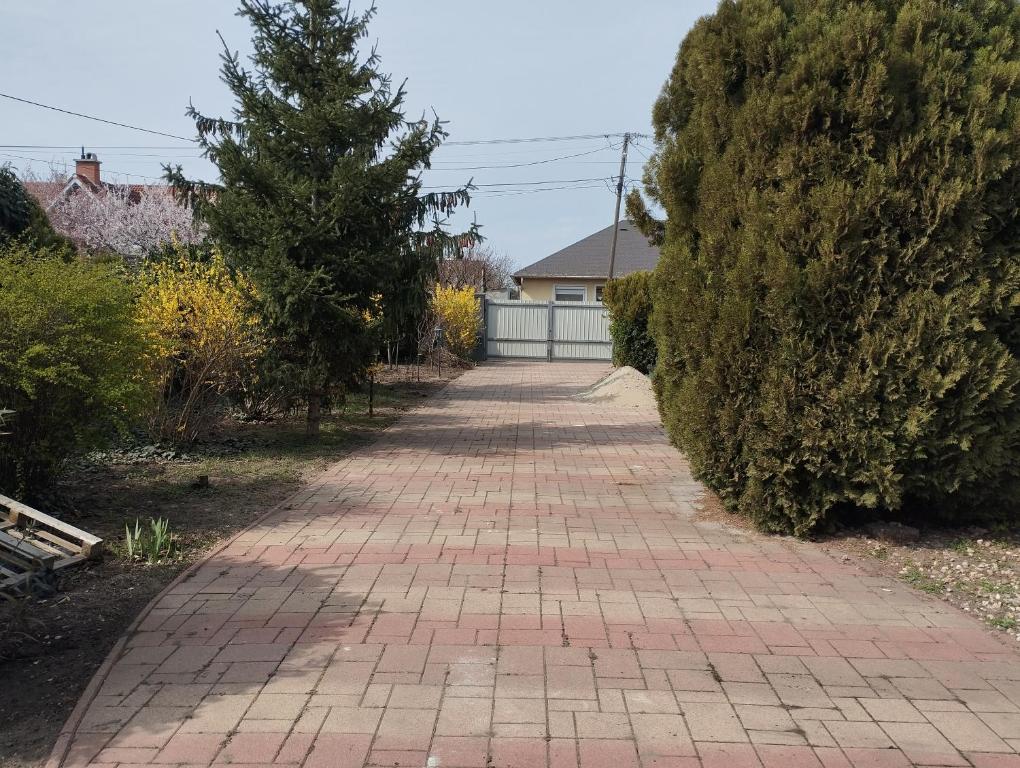 un chemin en briques avec un arbre sur son côté dans l'établissement Ibolya Apartman Debrecen kertvárosàban, à Debrecen
