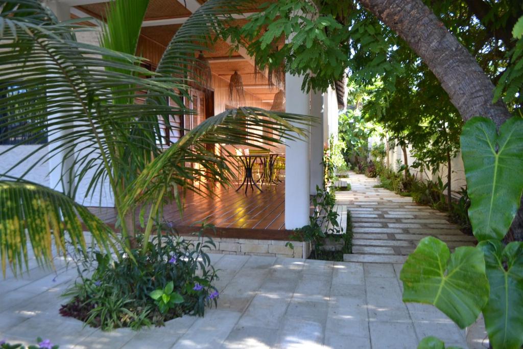 a porch of a house with a palm tree at Kily House in Morondava