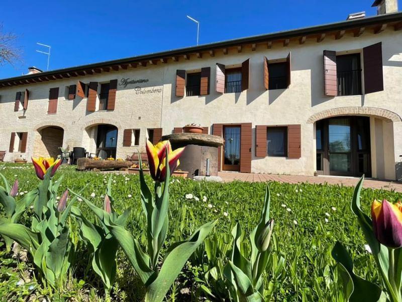 a building with a field of flowers in front of it at Agriturismo Colombera in Quarto dʼAltino