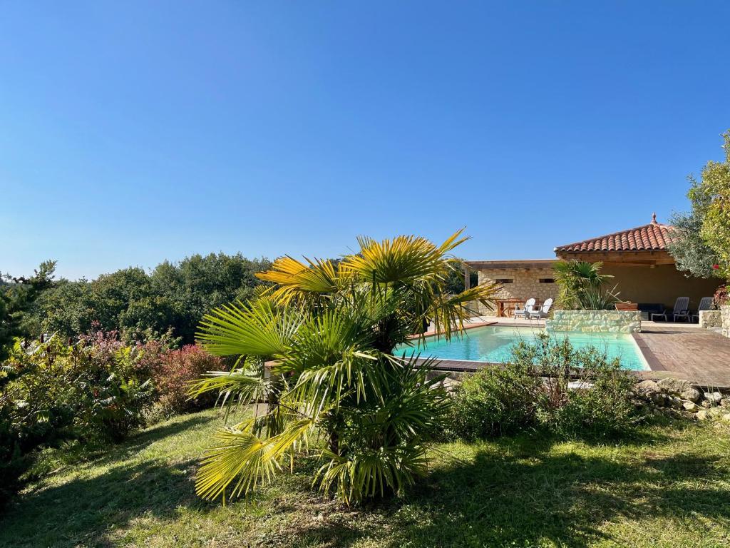 Castin的住宿－La villa du Moulin Castin，游泳池前的棕榈树