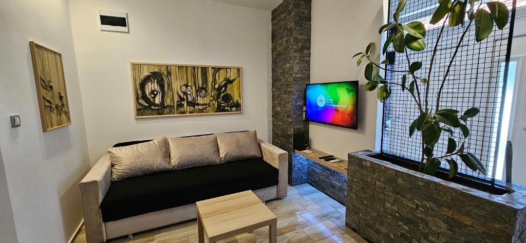 a living room with a couch and a tv at Sen's Studio in Leskovac