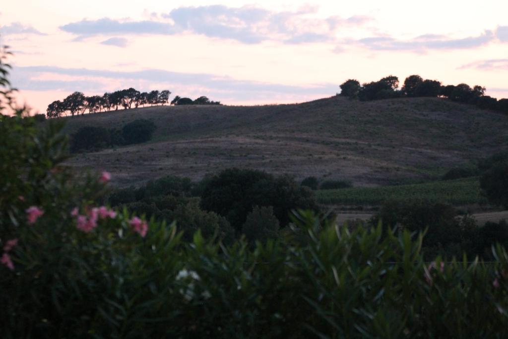 Paesaggio naturale nelle vicinanze dell'agriturismo
