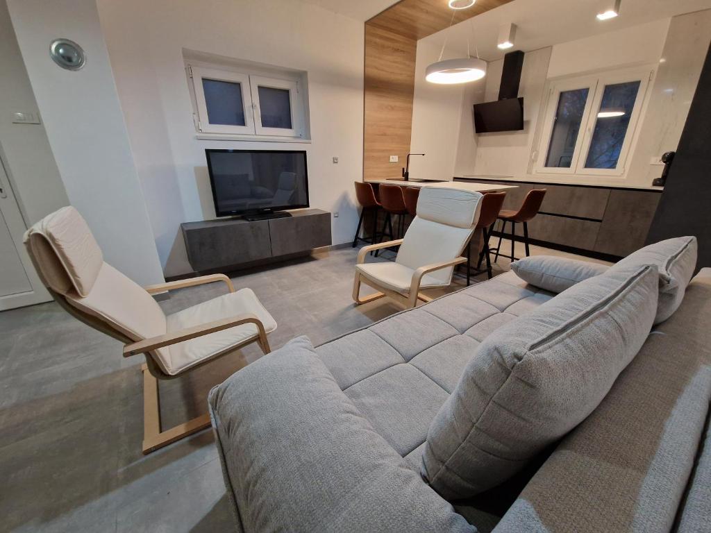 Televízia a/alebo spoločenská miestnosť v ubytovaní Apartment Lisarica
