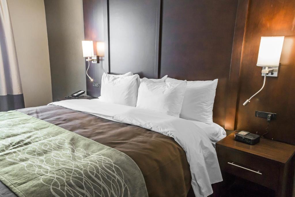 Comfort Inn & Suites Pharr/McAllen - Standard King Room - Niet -roken