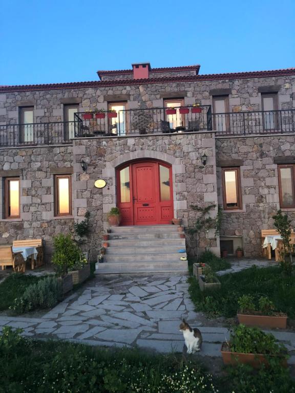 Photo from Pırnal Köy Evi in Ayvacık, Aegean Region, Turkey