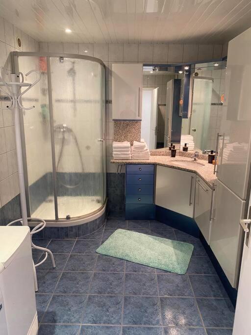 100m2 3chambres 5km du Carnaval de BASEL Free Wifi – photo 8