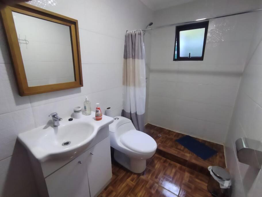 Koupelna v ubytování Chalet Valdivia