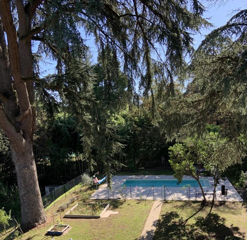 una piscina en un parque con un árbol en GERS -Midi-Pyrénées -Appartement 2chambres, en Castelnau-dʼAuzan