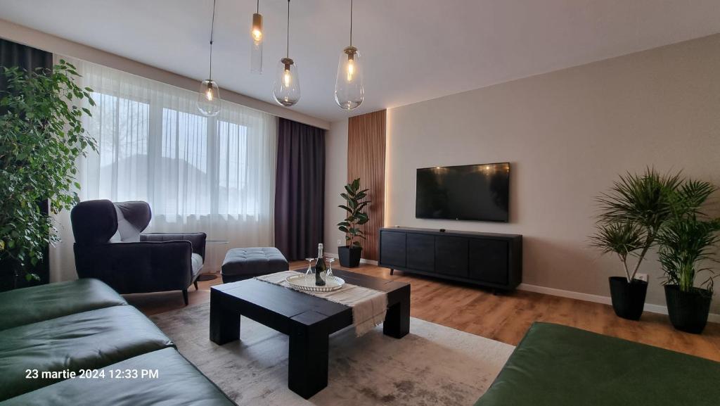 a living room with a couch and a tv at Nico's stylish Apartment in Satu Mare