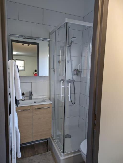 a bathroom with a shower and a sink at La Madeleine d&#39;Eybens (Grenoble) in Eybens