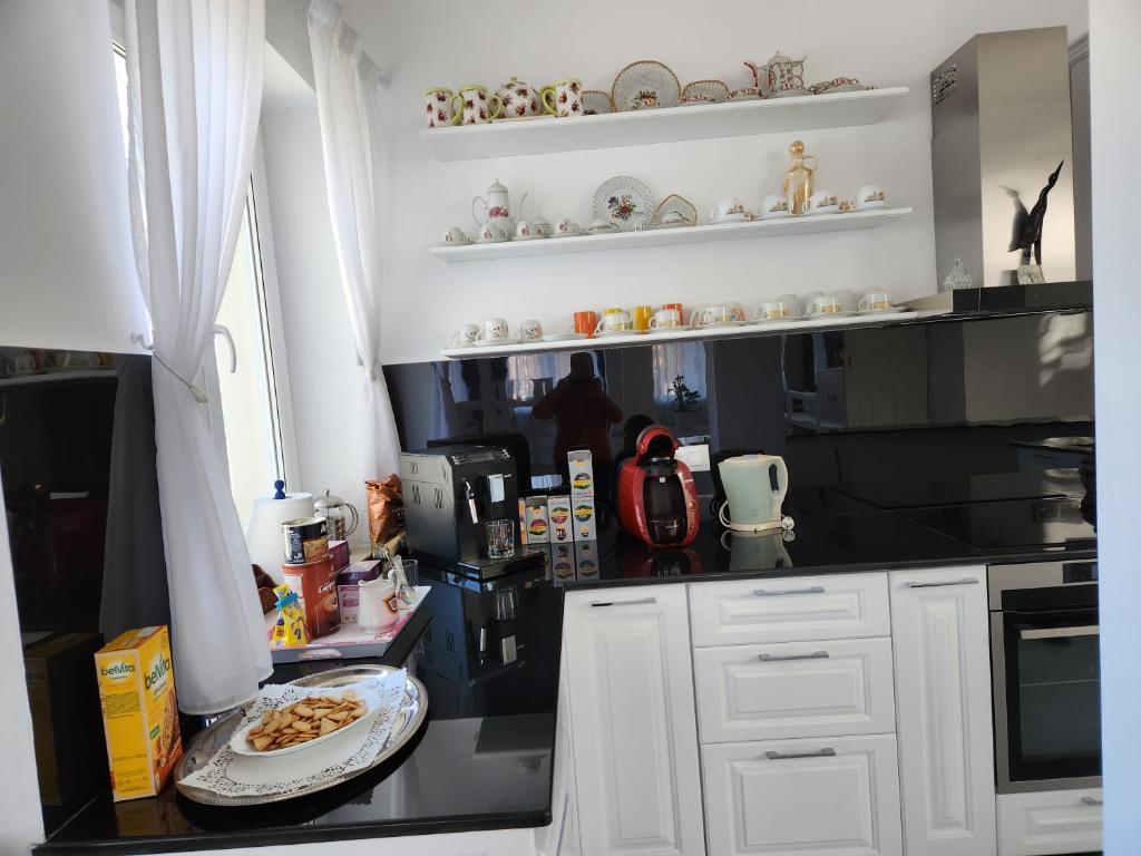 Kuchyň nebo kuchyňský kout v ubytování Vila Reghina