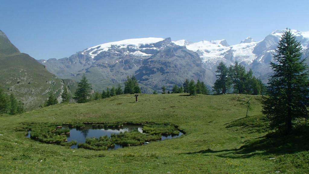 a view of a mountain with a pond in a field at Champoluc Apartment in Champoluc