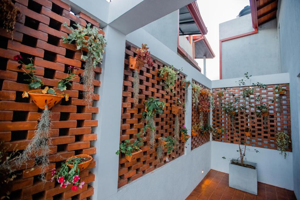Fotografie z fotogalerie ubytování Golden Shower Inn v destinaci Kandy