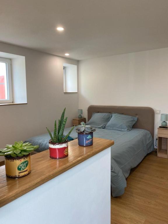 une chambre avec un lit et deux plantes en pot sur un comptoir dans l'établissement Chambre Mendi pausa, à Irissarry