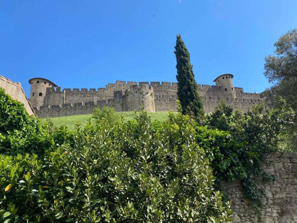 a castle with a stone wall and trees at Les chemins de la Cité Chambre ou appartement in Carcassonne
