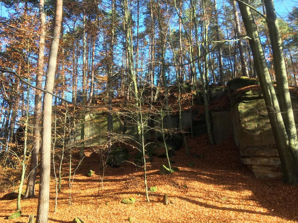 Příroda nedaleko apartmánu