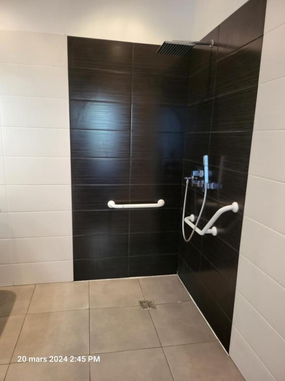 a bathroom with a shower with black tiles at Hotel Flots d'Azur in Nice