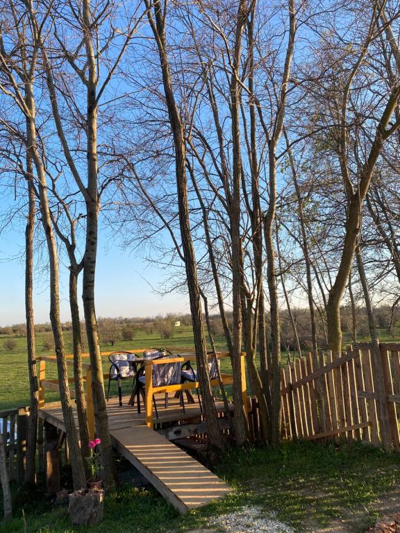 a wooden boardwalk with a picnic table and trees at Zasavčanka in Sremska Mitrovica