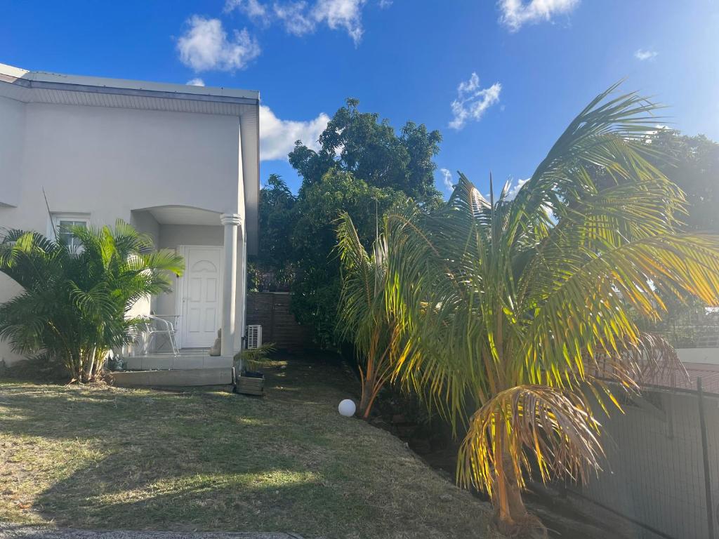 a backyard with a white door and palm trees at SKYS LOCATION PAKEHINA in Schœlcher