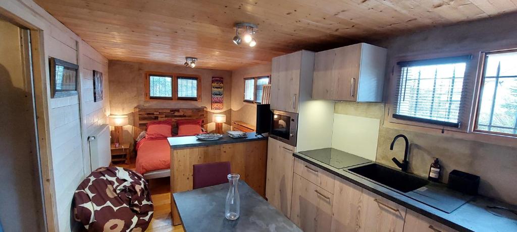 - une cuisine et un salon dans une petite maison dans l'établissement studio des dents de lanfon, à Écharvine