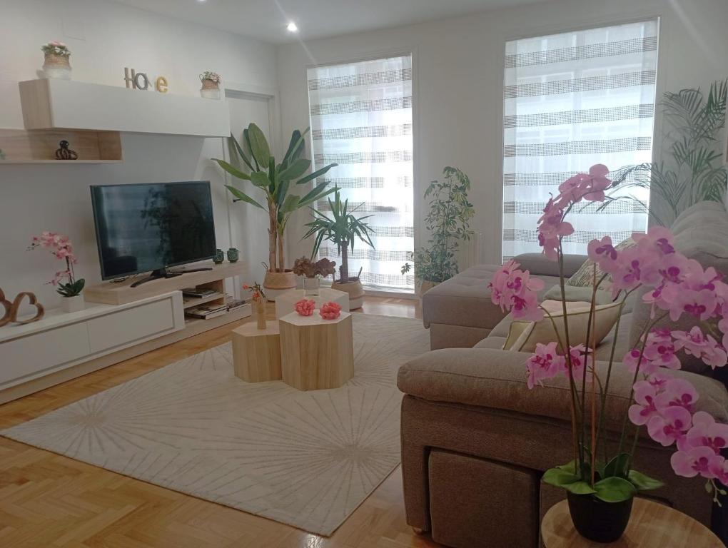 salon z kanapą i telewizorem w obiekcie Súper apartamento Santiago w Santiago de Compostela