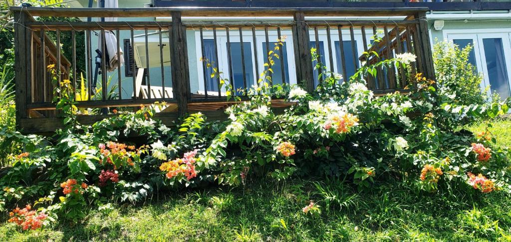Zahrada ubytování Memwa Villas