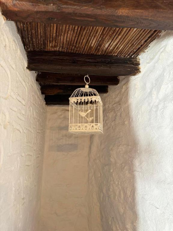 a bird cage hanging from a ceiling at O Mylos in Ermoupoli