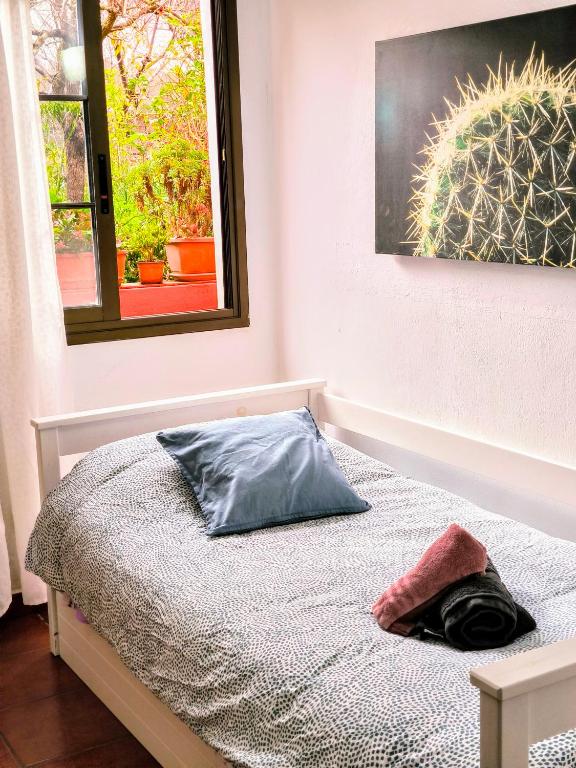 Fotografie z fotogalerie ubytování La Casa de Las Flores v destinaci Tacoronte