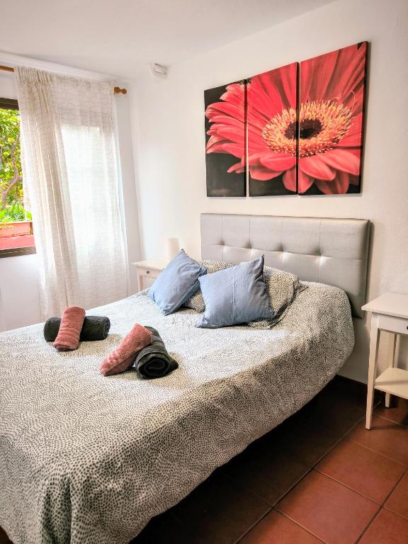 Fotografie z fotogalerie ubytování La Casa de Las Flores v destinaci Tacoronte