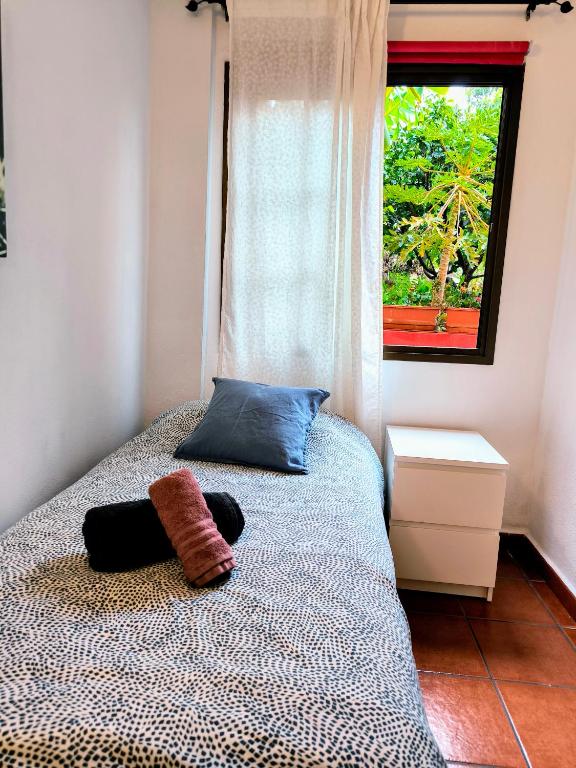 Fotografie z fotogalerie ubytování La Casa de Las Flores v destinaci Tacoronte