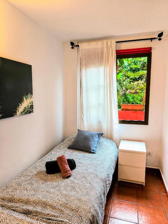 Fotografie z fotogalerie ubytování La Casa de Las Flores v destinaci Tacoronte