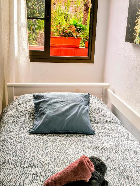 Fotografie z fotogalerie ubytování La Casa de Las Flores v destinaci Tacoronte