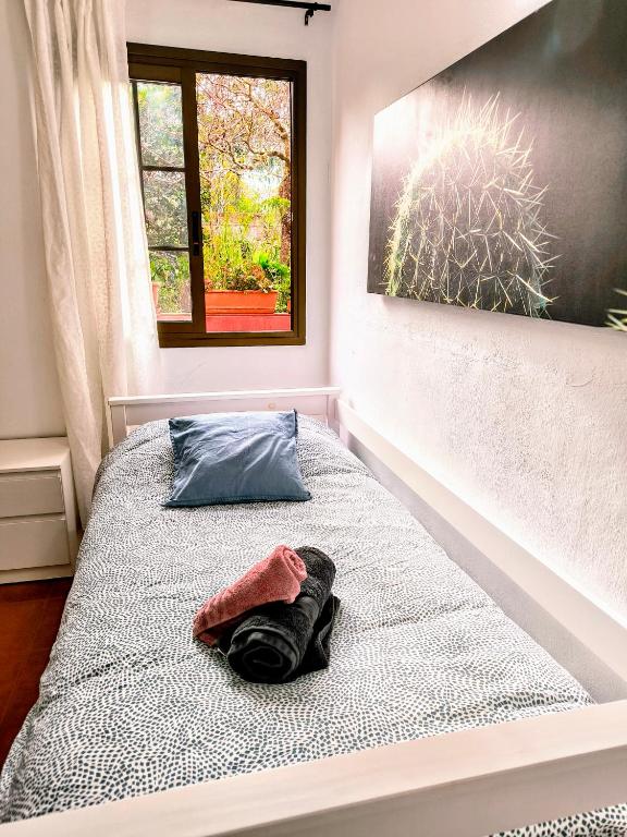 Fotografie z fotogalerie ubytování La Casa de Las Flores v destinaci Tacoronte