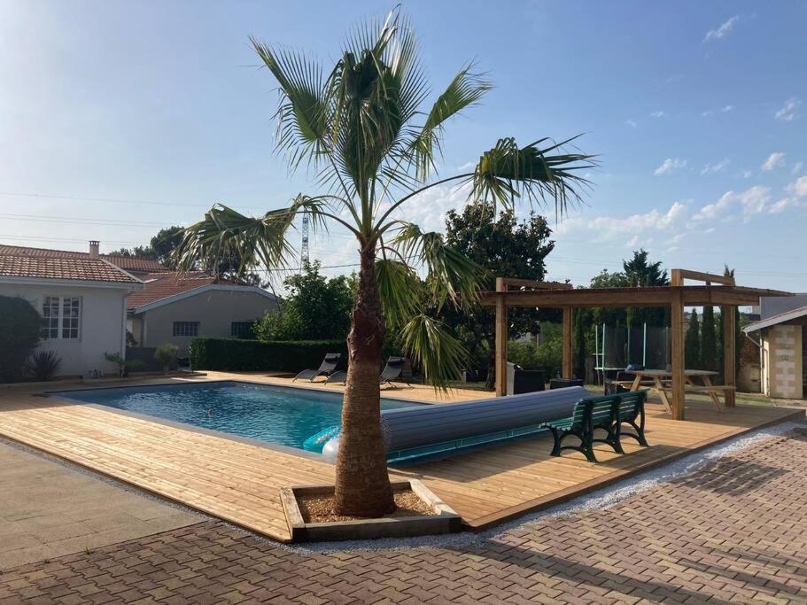 uma palmeira sentada ao lado de uma piscina em La Maison d’Eysines em Eysines