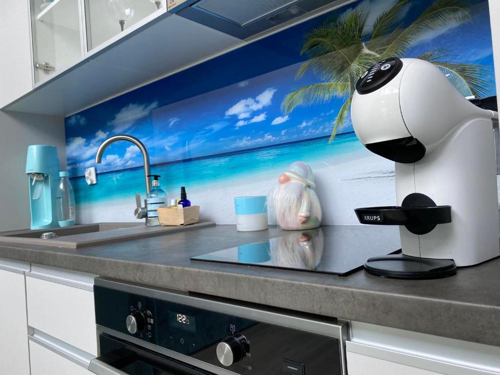 a kitchen counter with a sink and a pandaandan at Lazurowy Brzeg in Przejma Wielka