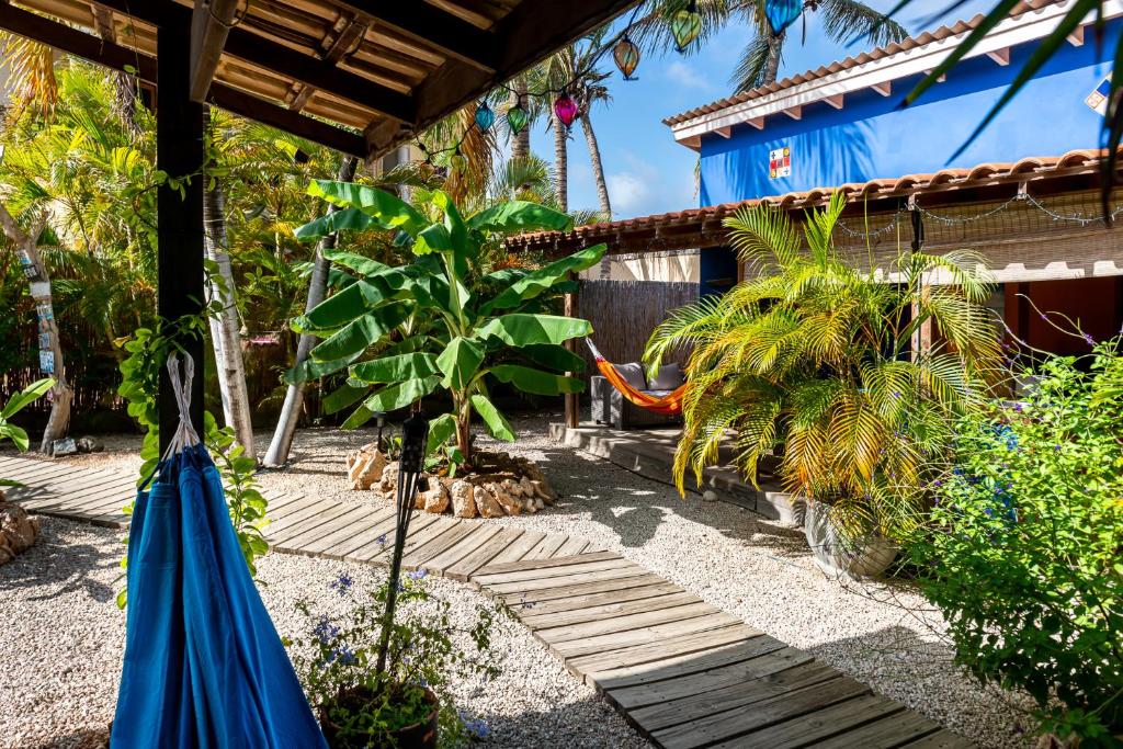 einen Garten mit einem blauen Regenschirm und einer Pflanze in der Unterkunft Casa Calexico in Kralendijk