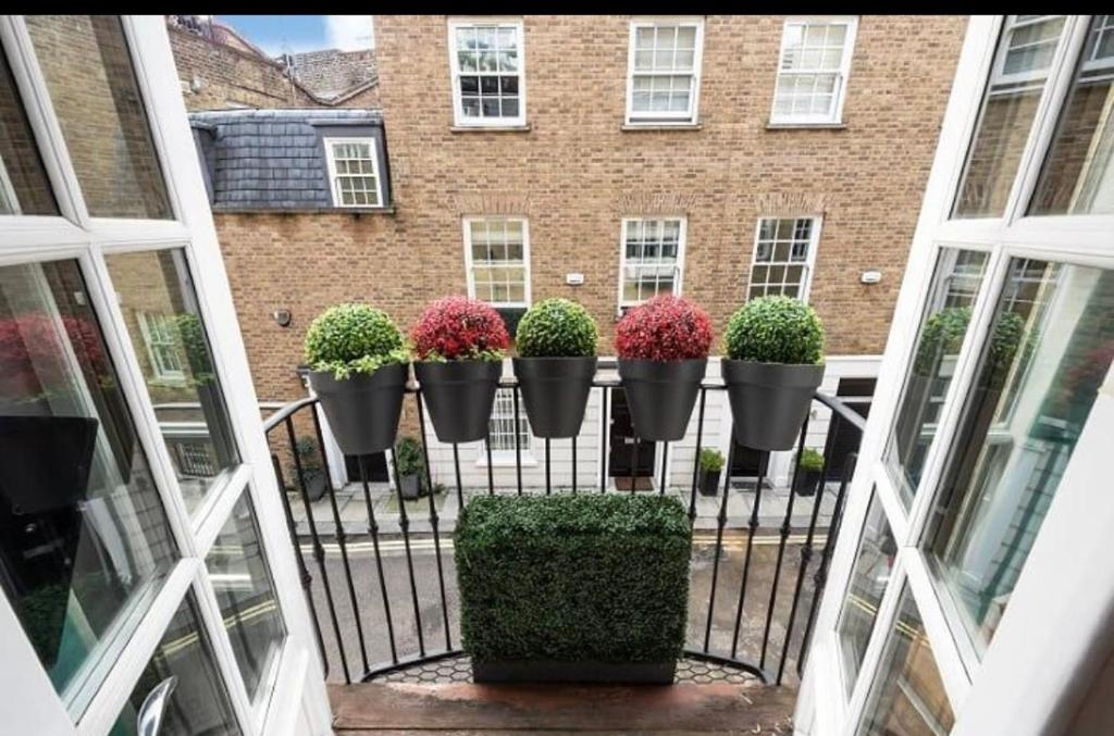 un gruppo di piante in vaso su una recinzione di fronte a un edificio di Luxury 2 bedroom house near Mayfair - Entire Home a Londra