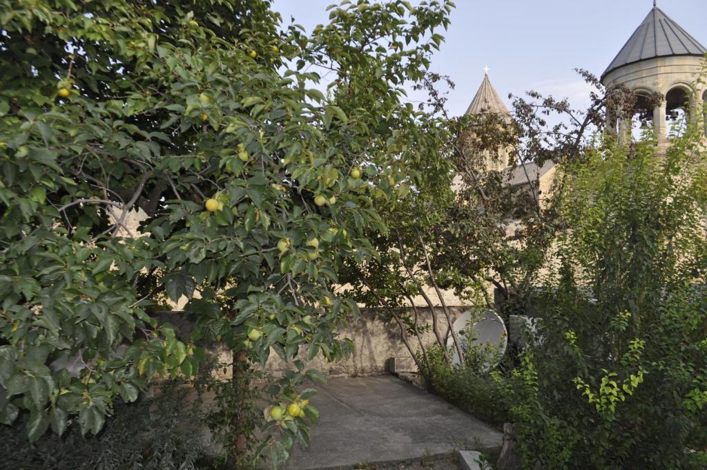 Zahrada ubytování Guest House Mtskheta