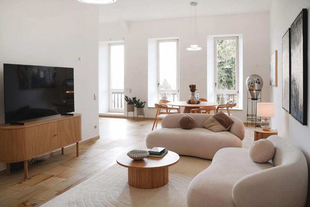 TV a/nebo společenská místnost v ubytování LOEWENHERZ HOMES Luxury Apartment - Stadt- und Seenähe - fellnasenfreundlich - lichtdurchflutet