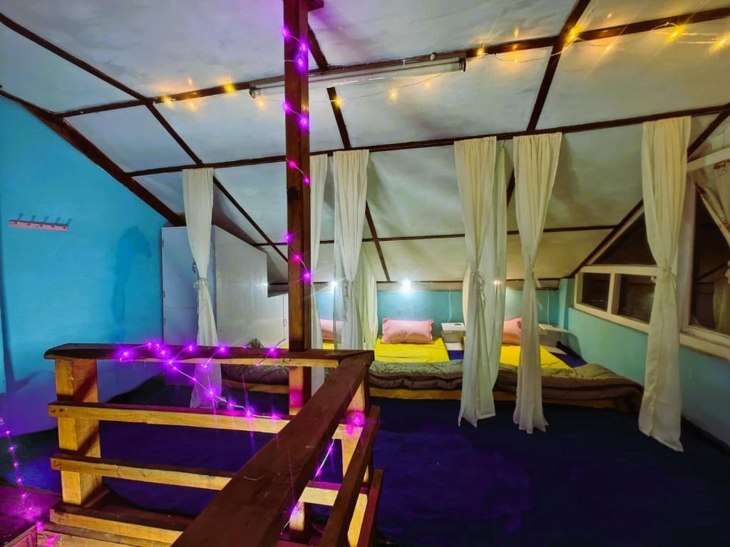 Habitación con cama con dosel y luces moradas. en Vibe Hostel, en Dharamshala